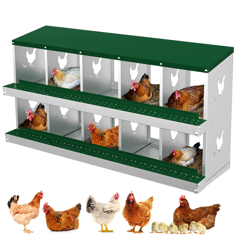 Chicken Coop, Green