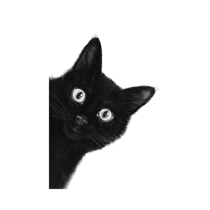 Cat- Gallery-Wrapped Canvas Giclée