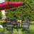 Outdoor 2'' Dining Chair Seat Cushion-380535737-380535738