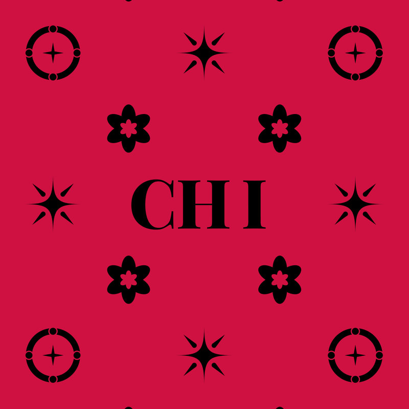 Coussin en coton croisé Chicago