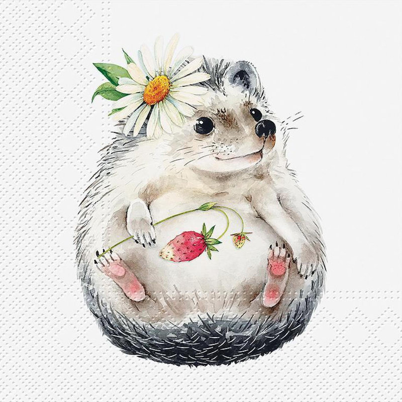 Ensemble de 20 serviettes déjeuner Hedgehog