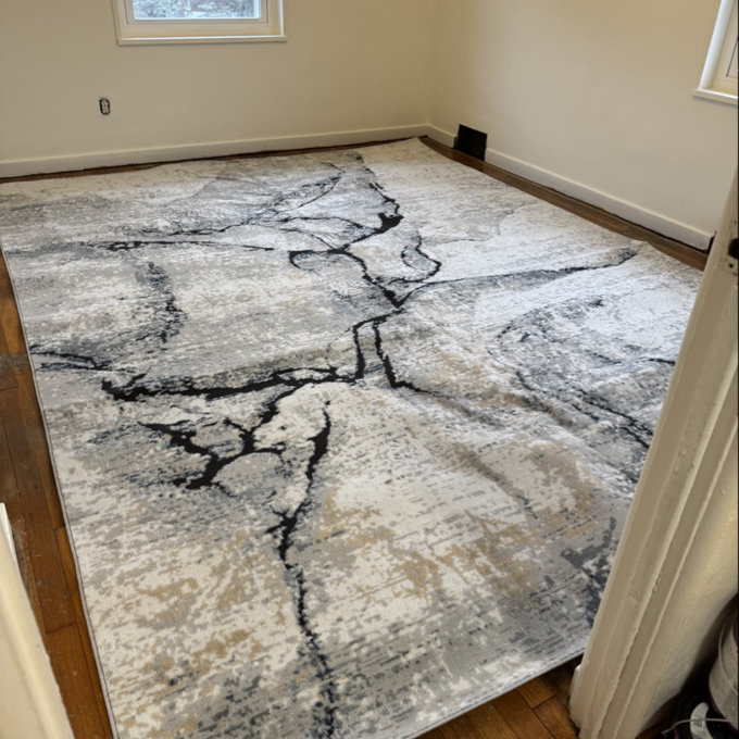 Steve Abstract Gray Area Rug