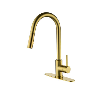 Kitchen Faucet With Pull Down Sprayer