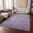 Machine Washable Indoor/Outdoor Claudian ACN1650 Lavender Rug-104345898