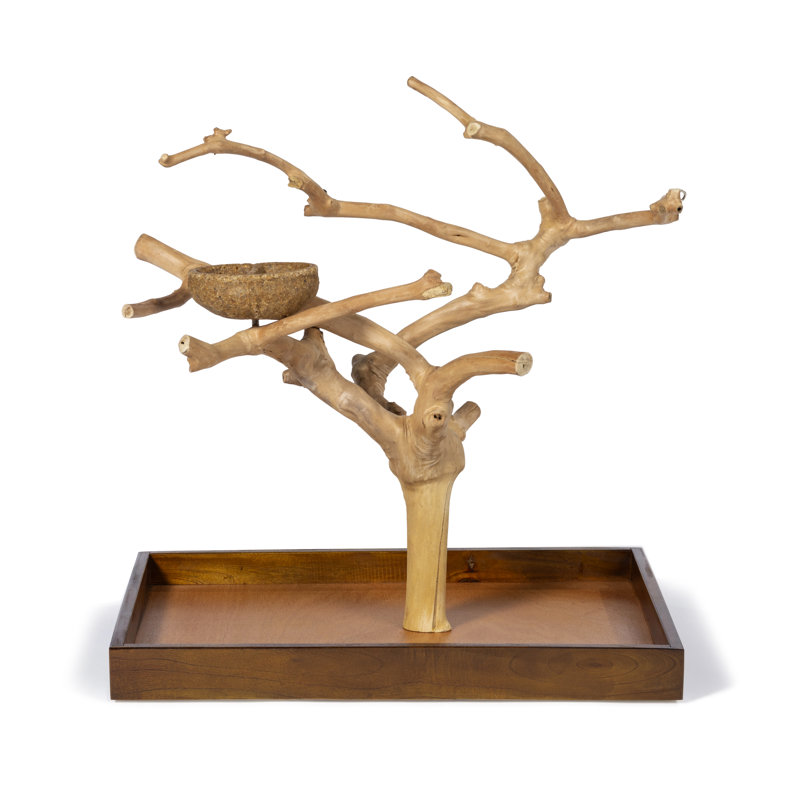 Freeport One-of-a-Kind 22.5'' Wood Bird Play Stand for Table Top