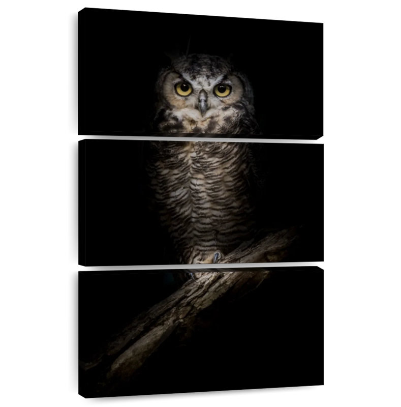 Brampt Wise Night Owl, 32" H x 20" W