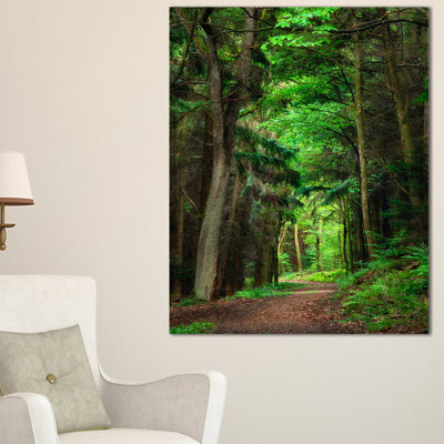 Paysage, forêt dense, art mural sur toile - Forêt rêveuse