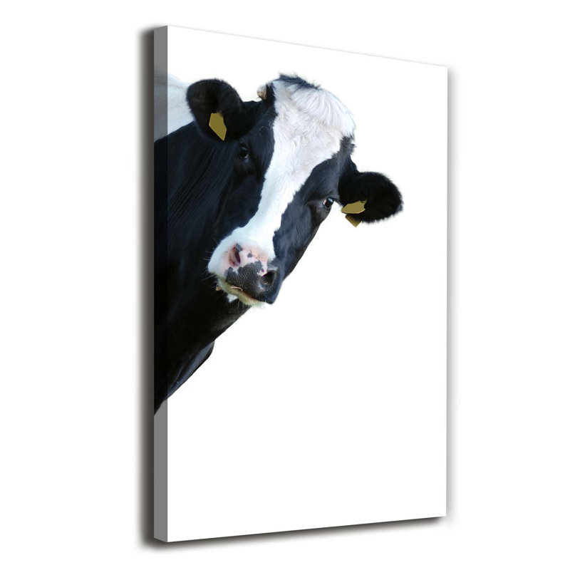 A Bred Cow - Wrapped Canvas Print