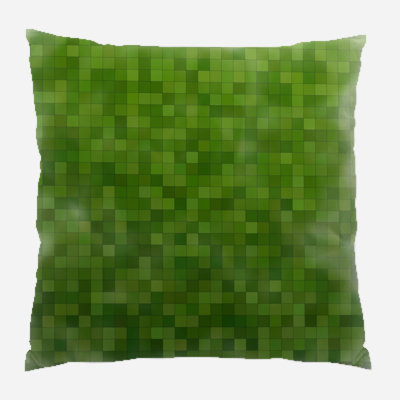 Coussin décoratif