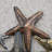 Handmade Abstract Wall Decor on Iron-1140608242