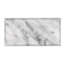 Grandis 3 in. x 6 in. Polished Marble Tile