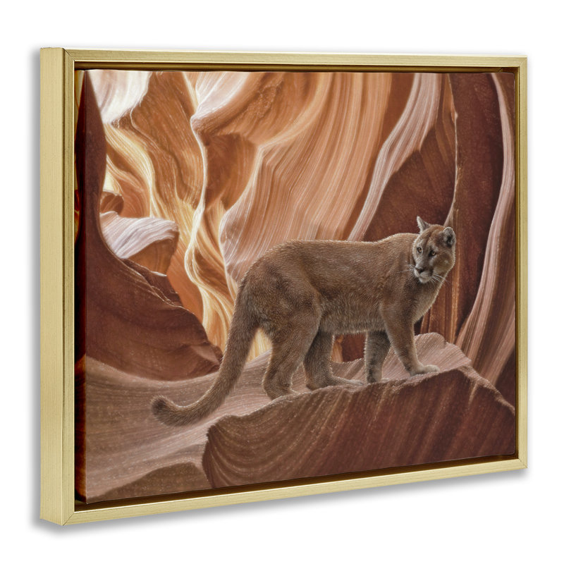 Cadre flottant Cougar Canyon View, design par Collin Bogle, H 17 po x l 21 po, Cadre flottant métallique doré