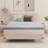 Alwyn Home Sadorus 4 inch Tri-fold memory foam mattress,Tri Folding Mattress Removable and Washable with Handles and Non-Slip Bottom for RV/Camping/Guest Room-107056860