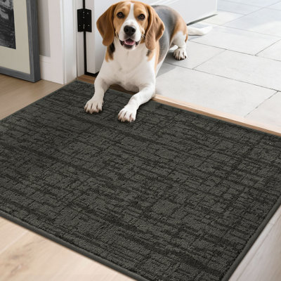 Non-Slip Absorbent Door Mat with TPR Backing – Soft, Washable, Low-Profile Doormat for Indoor Entrance, Perfect for Pets & Family