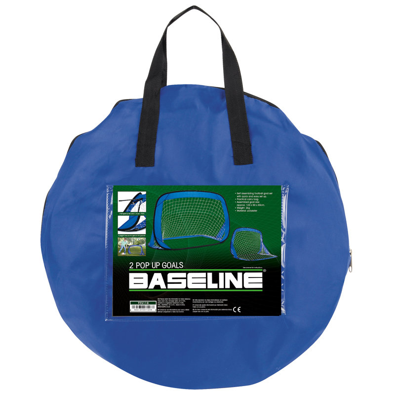 Freeport Park Batchelder Plastic Goal with Carrying Case