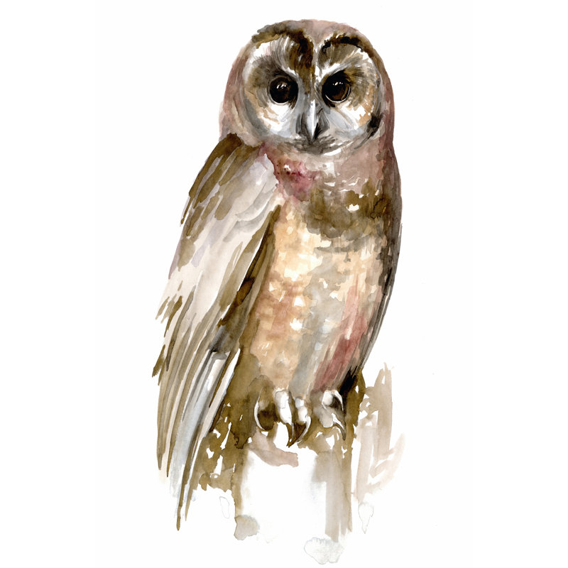 Owl II by Jennifer Paxton Parker - Painting Print, 30 cm H x 20 cm W, Wrapped Canvas