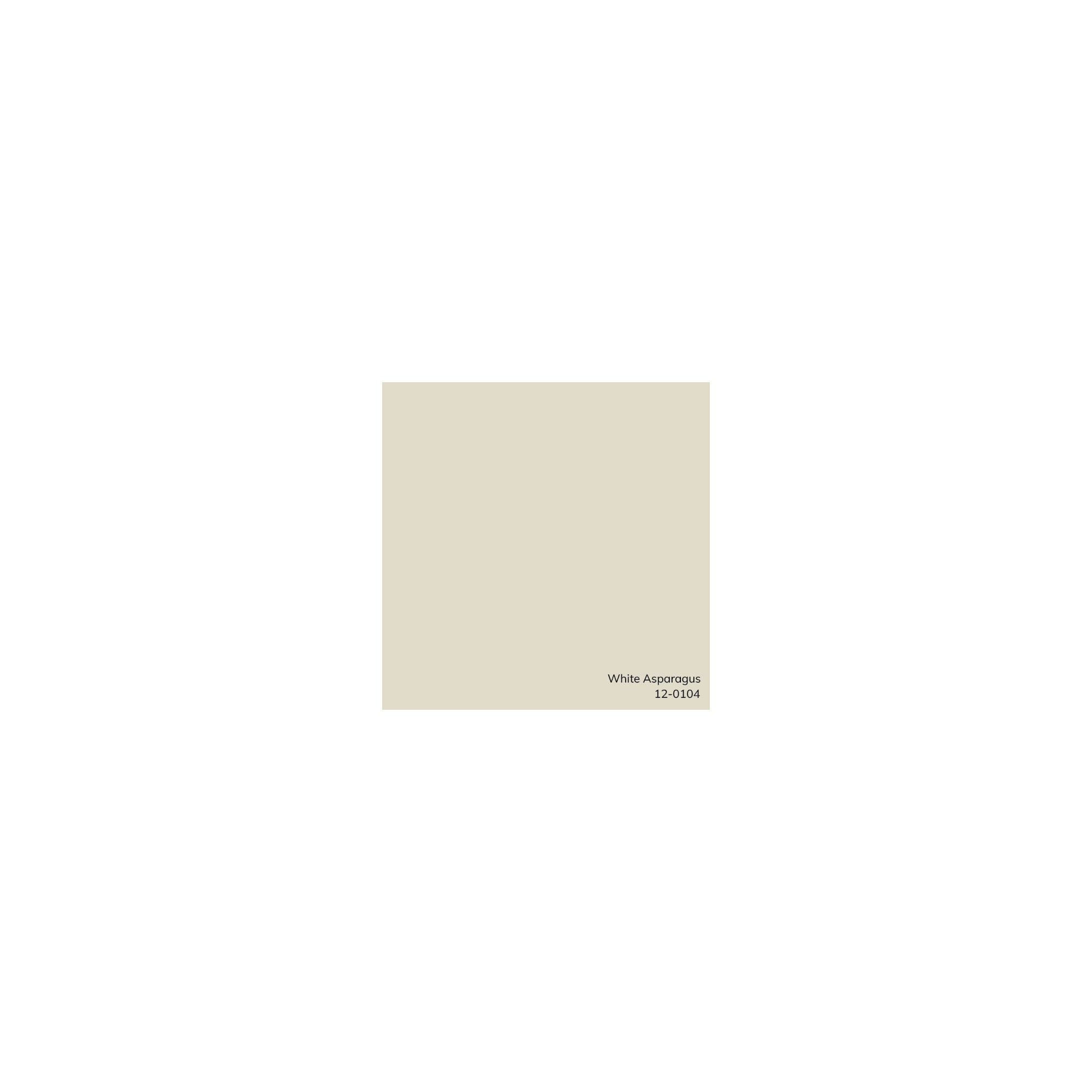 Belel Wool, Cotton Throw Pillow, Cream, Down, 20" x 20"