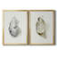 Oysters On The Bay III - Ensemble de 2 reproductions d'art sur toile encadrées-1852780692-1852780688