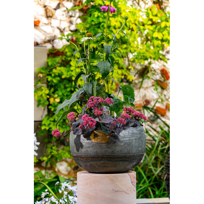 Northway Handmade Metal Pot Planter