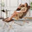 Ariadnna Saucer Chair Folding Accent Moon Chair with Metal Frame Cozy Lounge Chair for Living Room-347767164-371103322