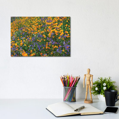 California Poppy And Desert Bluebell Flowers, Antelope Valley, California III by Tim Fitzharris - Gallery-Wrapped Canvas Giclée on Canvas