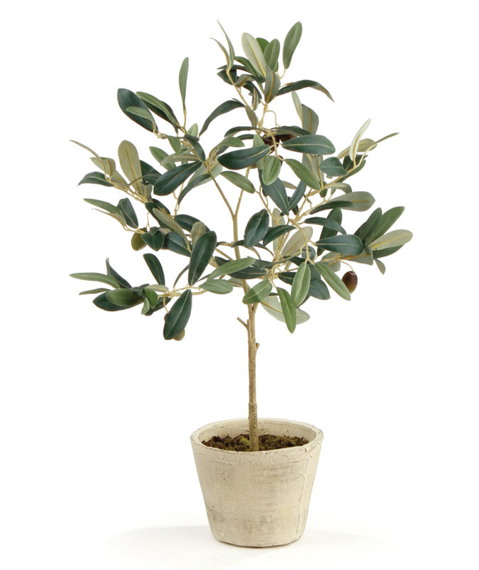 Tarik 19.5'' Faux Olive Tree Tree in Ceramic Pot