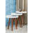 Glass Tray Top Nesting Tables End Table