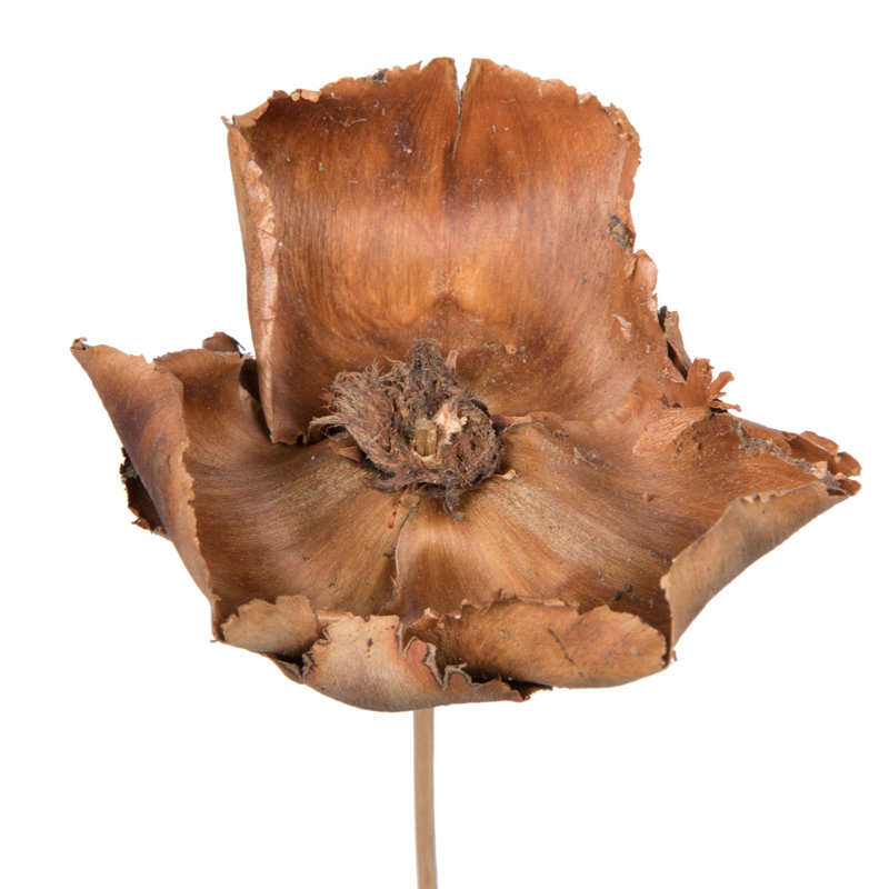 Ensemble 75 pièces de palmier préservé