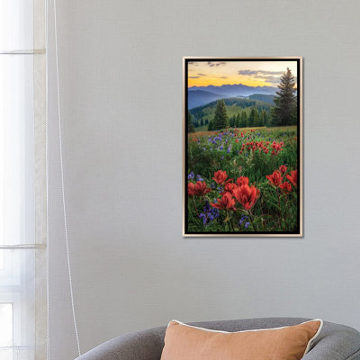 «Summer Wildflower Landscape - White River National Forest Colorado Sunset», reproduction d'art sur toile encadrée