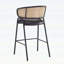 Tabouret de bar intérieur en métal rembourré, siège en similicuir avec dossier en rotin tissé, ensemble de 2