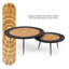 Ensemble de tables basses 2 pièces