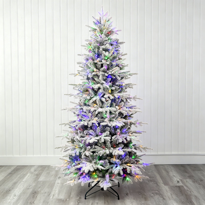 Sapin de Noël cachemire caché Cashmere, H 6 pi