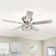 52'' Iris 5 - Blade Standard Ceiling Fan with Remote Control and Light Kit Included