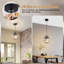 1 - Light Matte Black Pendant