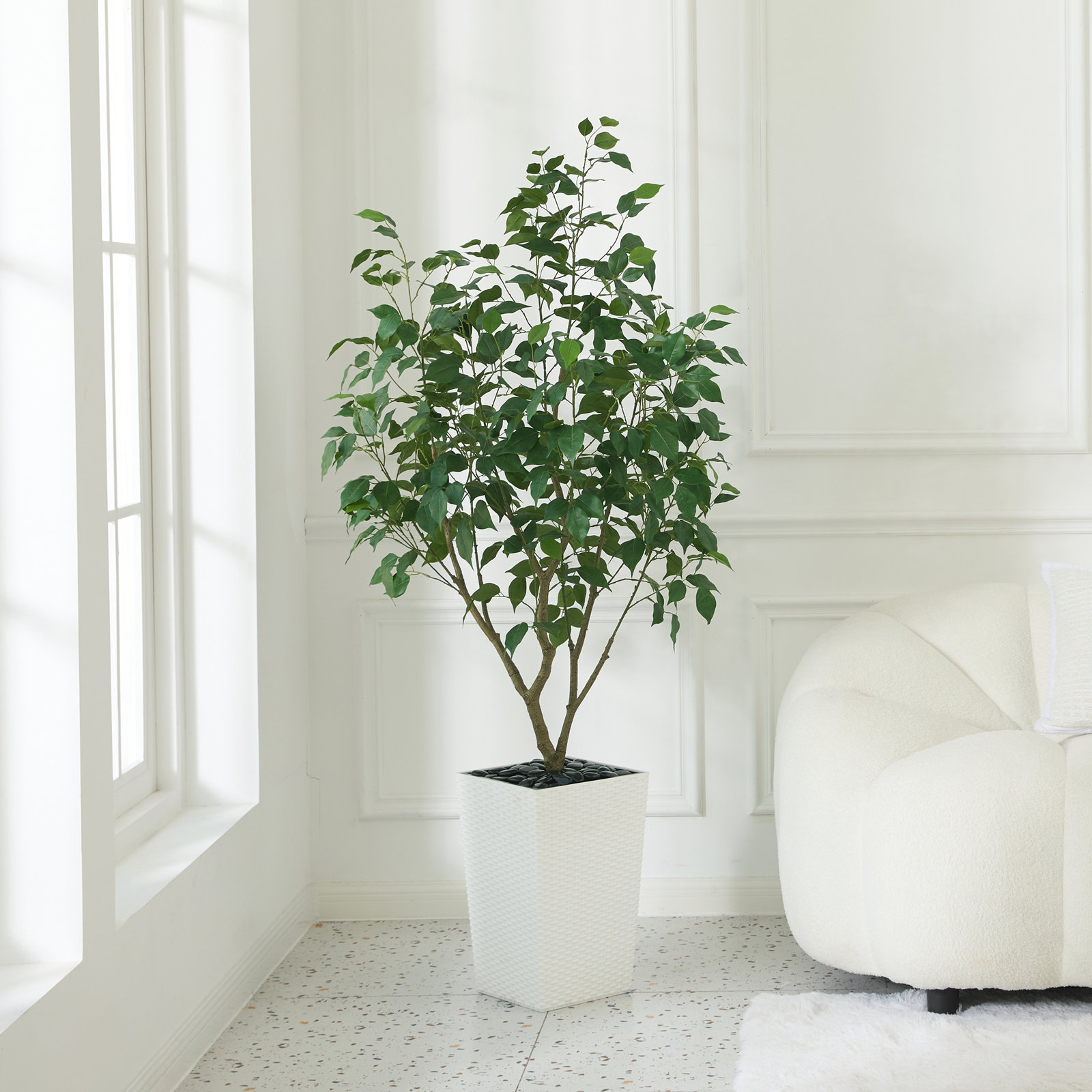 George 72" Ficus Tree in Decorative Vase, 60" H x 20" W x 20" D, White