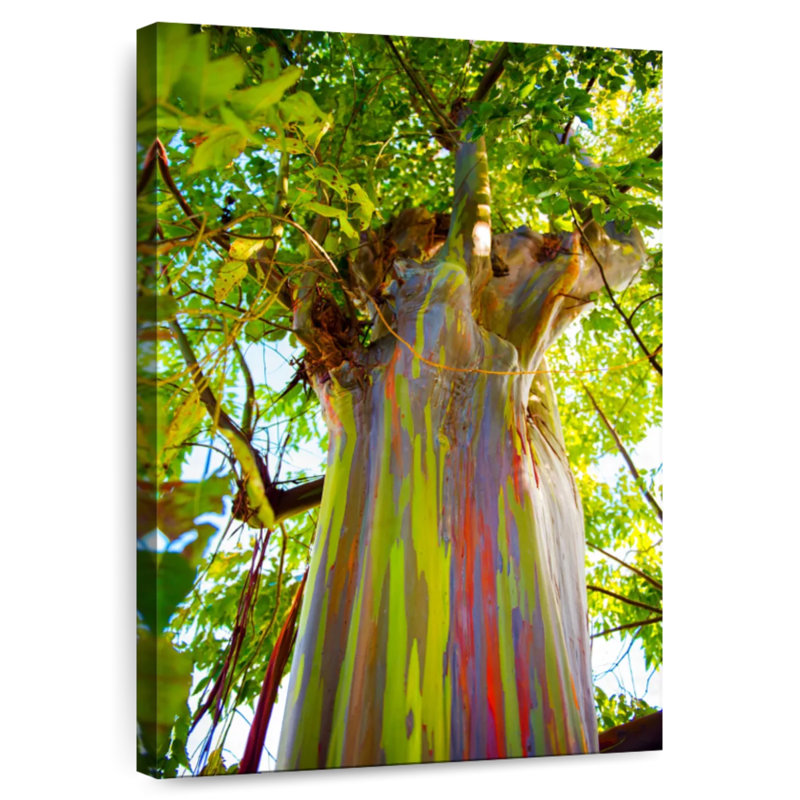 Harnek Rainbow Tree Trunk, 45" H x 30" W