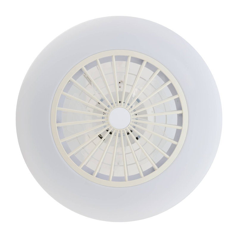 Jenkintown Ceiling Fan with LED Lights