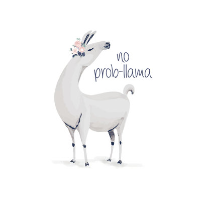 No Probllama - Wrapped Canvas Print
