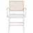 Abby Dining Arm Chair-95428200-94822108