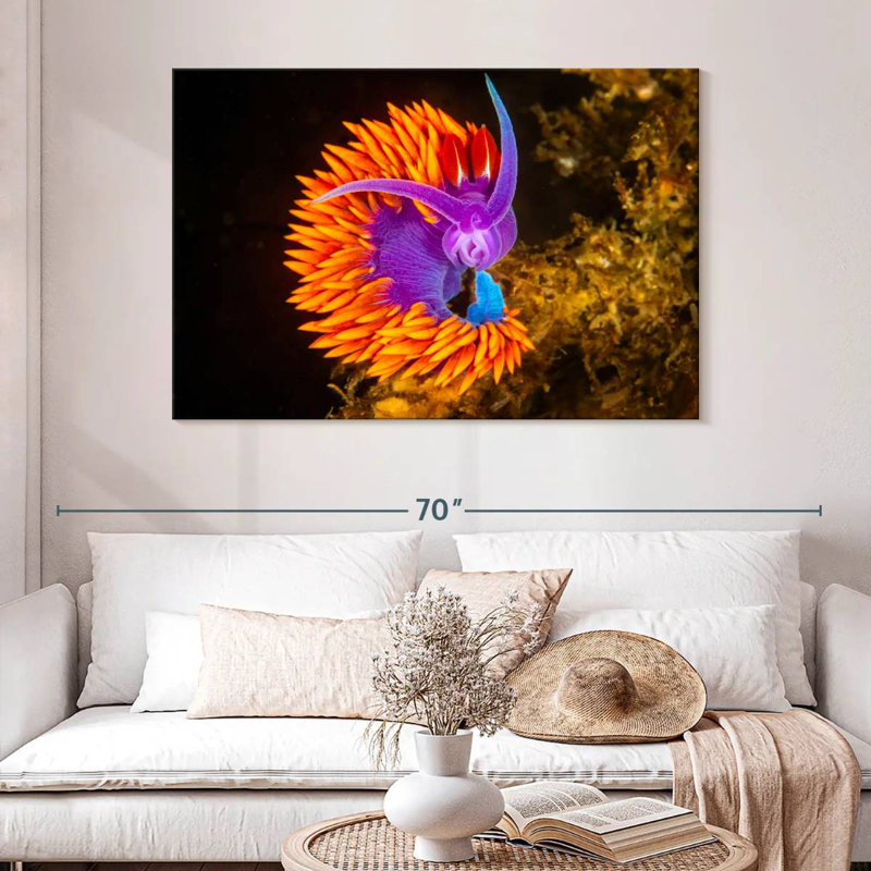 Crowle Spanish Shawl Nudibranch