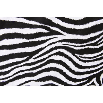 Zebra Print Background by SchulteProductions - Wrapped Canvas Art Prints