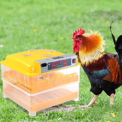Symple Stuff Chasteen Egg Incubator