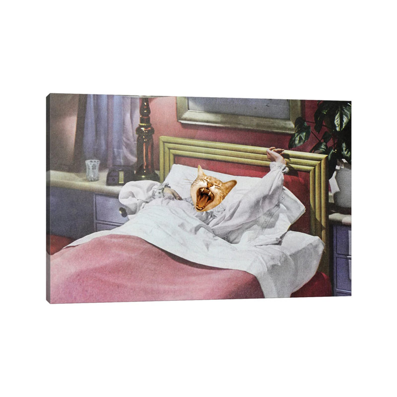 Catnap 1PC6