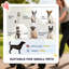 Foldable Pet Stroller
