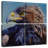 Brampt Golden Eagle-109118194