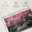 Ensemble de 3 fleurs de cerisier sur toile Central Park NY-727167117