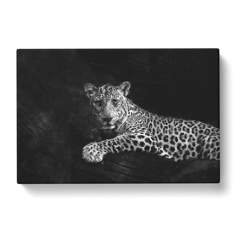 Leopard - Wrapped Canvas Print, 50cm H x 76cm W x 3cm D