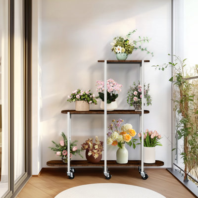 Plant Stand