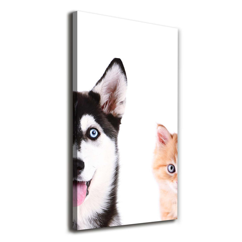 Dog And Cat - Wrapped Canvas Print