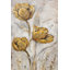 Coquelicots dorés sur taupe II